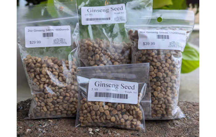 Stratified Ginseng Seeds