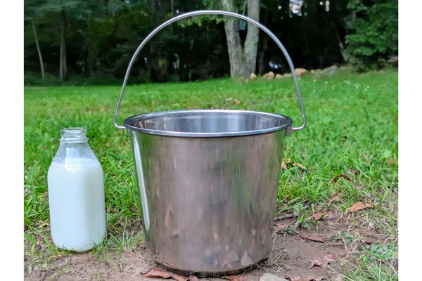 Stainless Steel Pails
