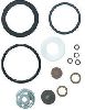 Chapin Seal & Gasket Kit